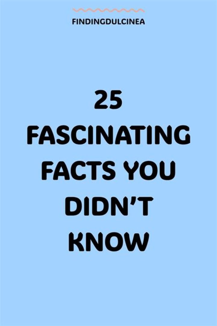 25 Facts You Didn't Know About "Seinfeld" Obsev
