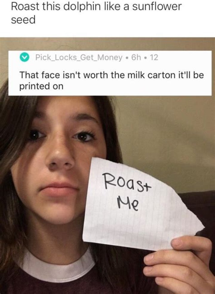 26 Funny Roasting Jokes Quotes and Humor