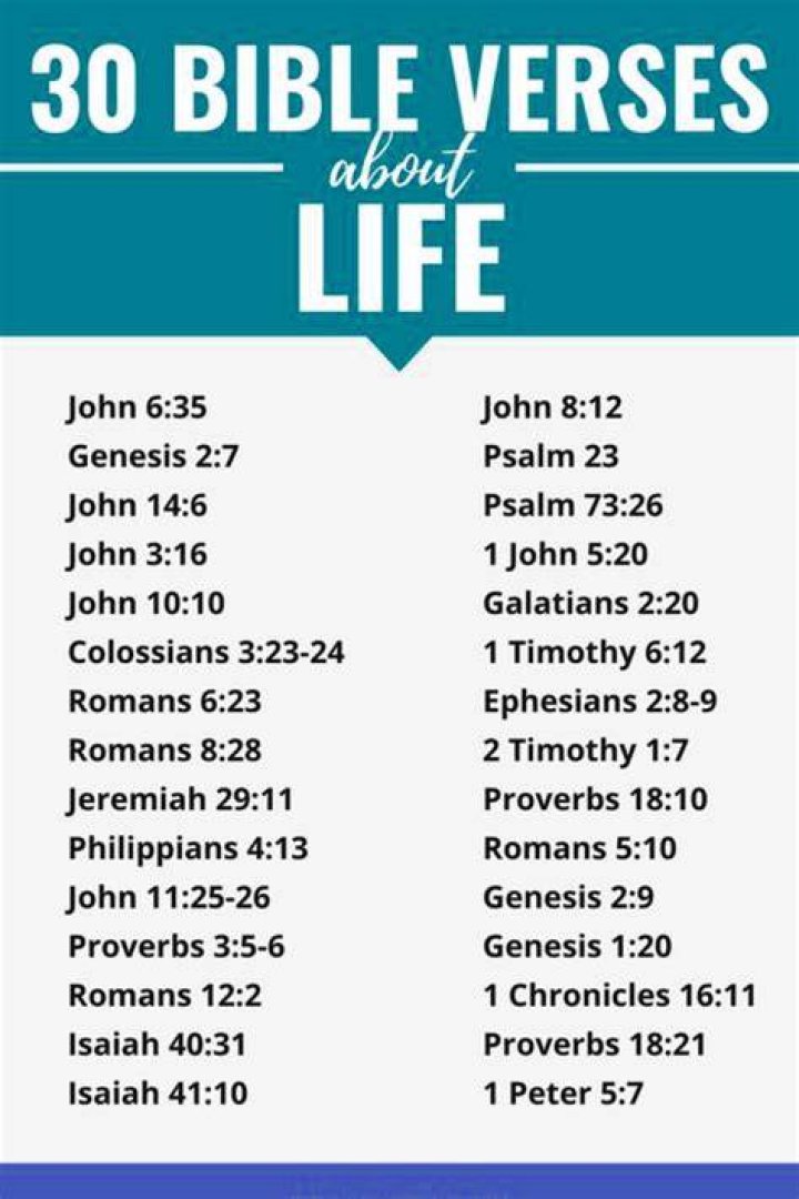 30 Best Bible Verses About Empathy For Others