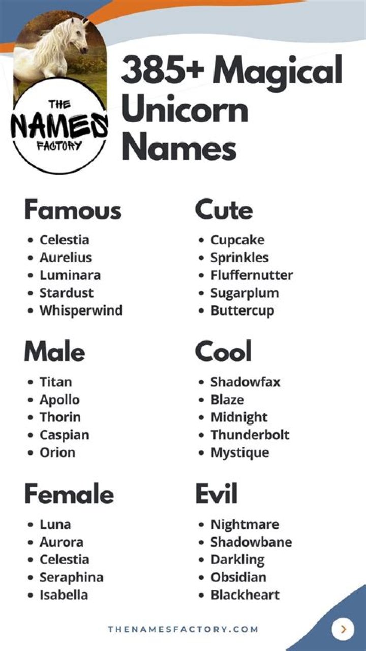 321 Magical Unicorn Names that Will Bring You Extra Sparkle Animal Hype