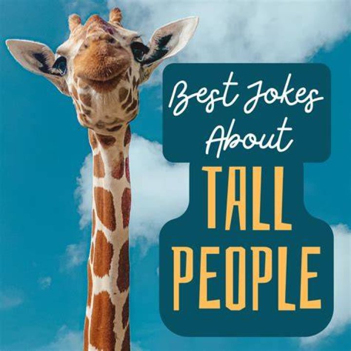 45+ Funny Tall People Jokes Tall people jokes, Funny tall, Short