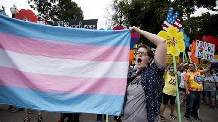 A Transgender Trump Supporter Is Conservative Darling The Forward