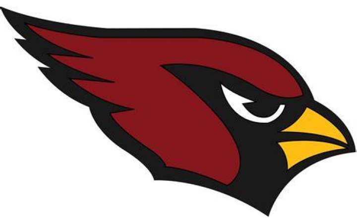 Arizona Cardinals Logo valor, hist&oacute;ria, PNG