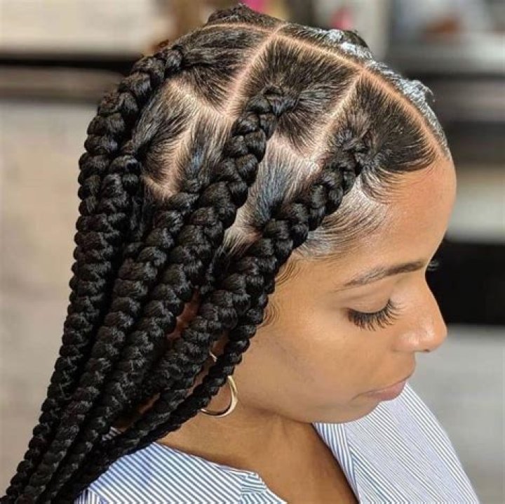 Big Braids Hairstyles 27 Various Styles You Can Try for Yourself