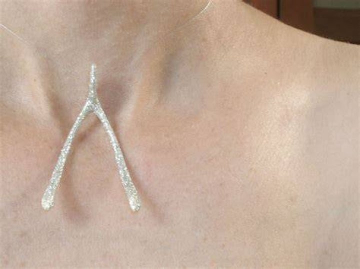 Bridges on the Body wishbone