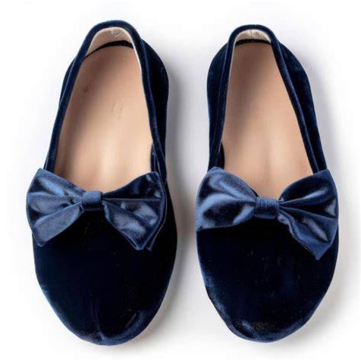 Chlo&eacute; Velvet ballet flats Navy blue shoes flats
