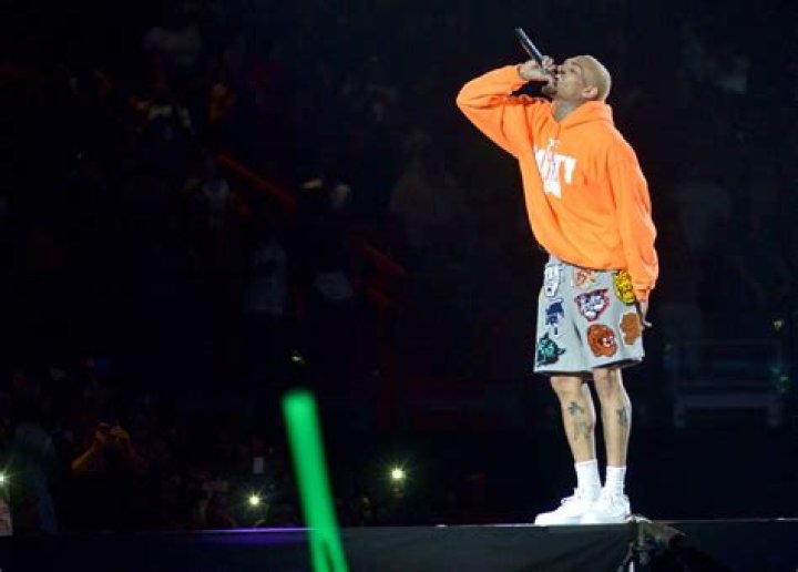 Chris Brown's Expanding Family Updates On His Kids In 2024