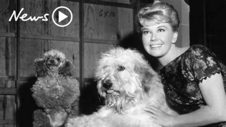 Doris Day Tragic final days of Hollywood icon