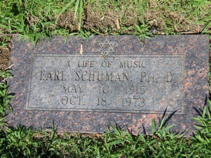 EARL SCHUMAN Yo! Venice!