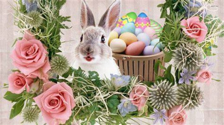 Easter Family Wallpapers Wallpaper Cave