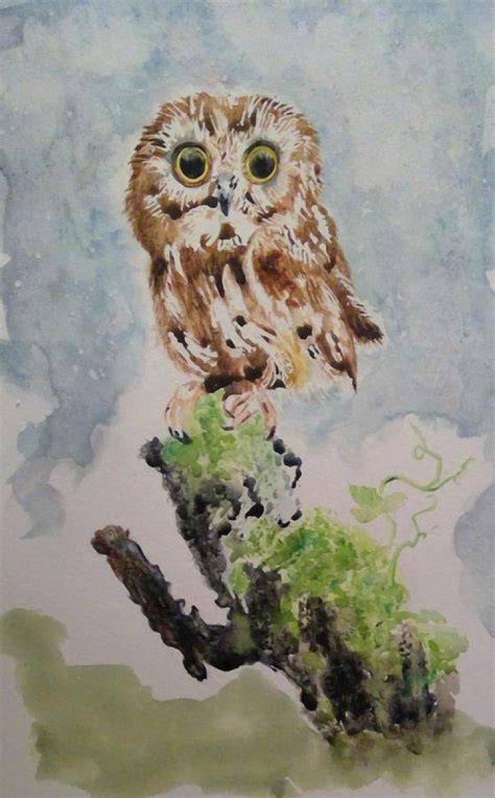 Elf Owl by Deborah Gerhardt Cool paintings, Owl photos, Elf owl