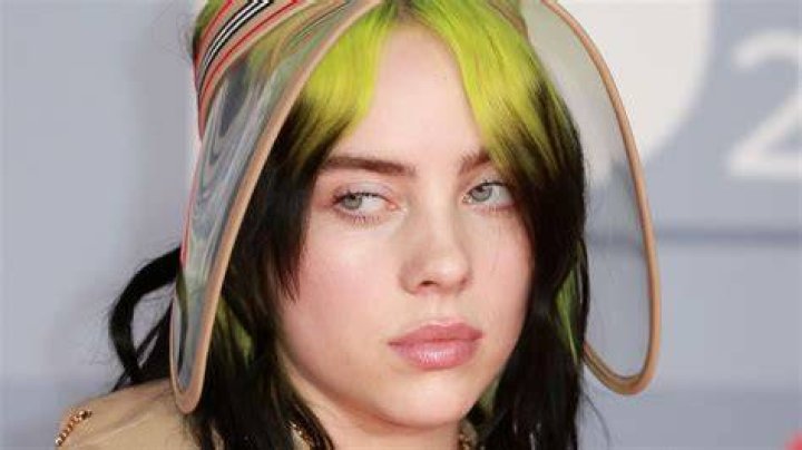 Fans Think Billie Eilish's Brother Girlfriend is a Billie Lookalike