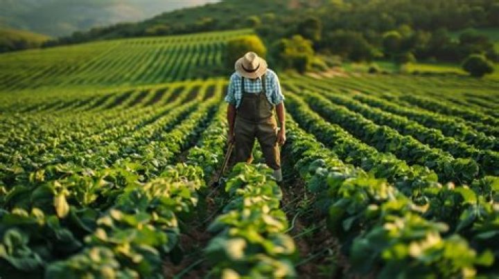 Farmer's net worth 2022, age, wife, career, house, profiles