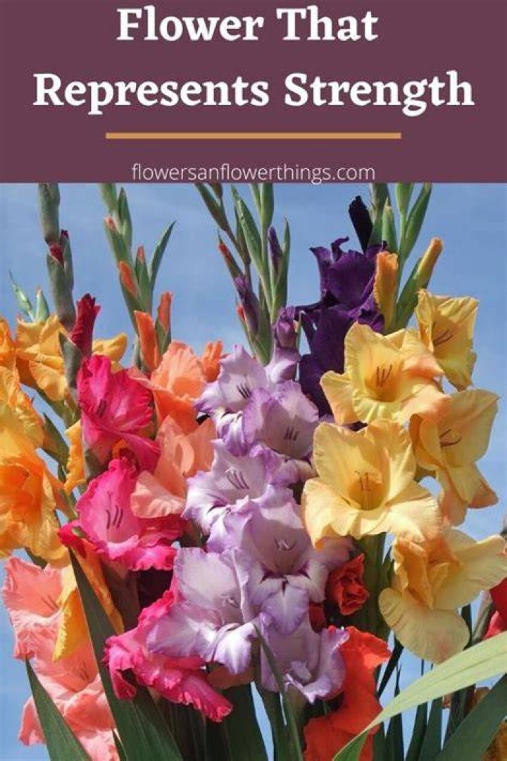 Flower That Represents Strength Flowersandflowerthings