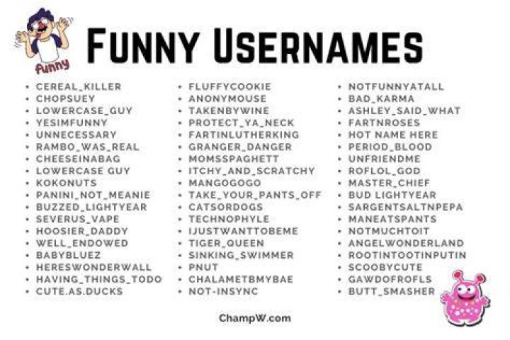 Funny Usernames 400+ Funny Usernames for Games