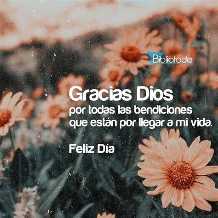 Gracias Se&ntilde;or por todas las bendiciones recibidas. Bendiciones para