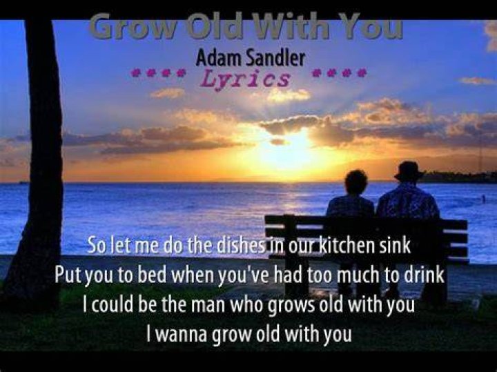 Grow Old With You Lyrics Wedding Singer musical
