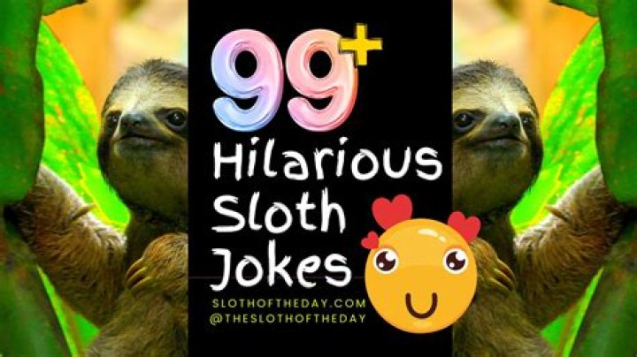 Hilarious What's The Difference Jokes That Will Make You Laugh