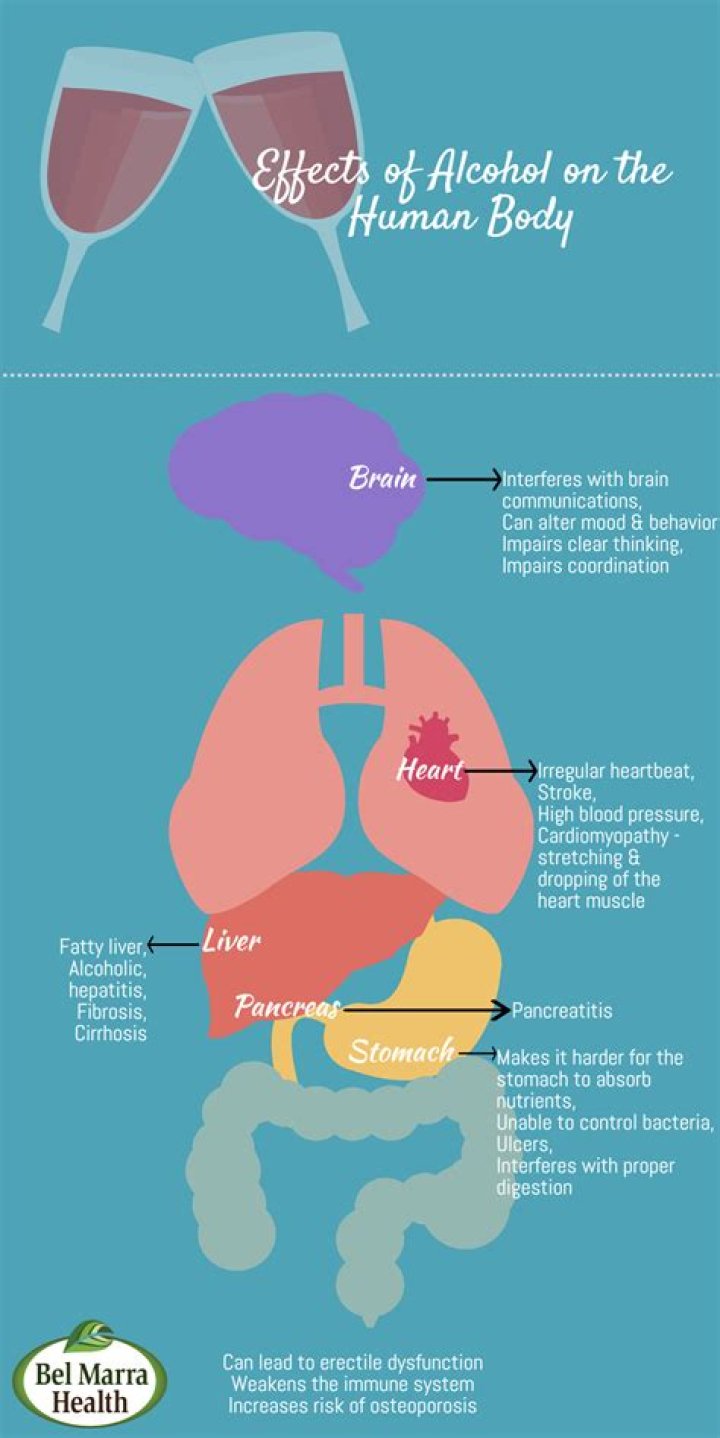 How Does Alcohol Affect The Kidneys Function