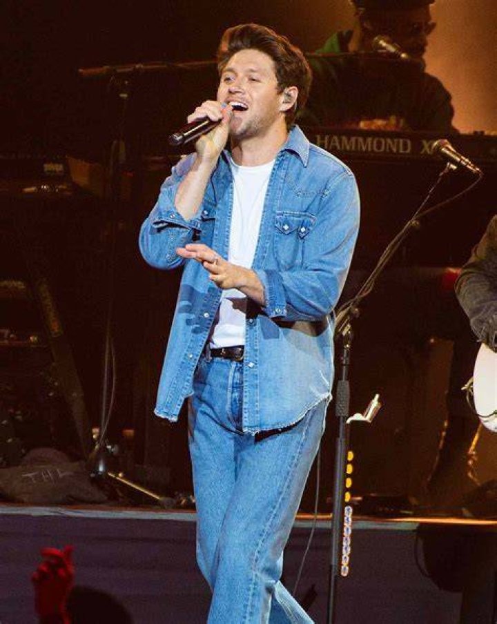 Niall Horan's new net worth as Irish star owns incredible wealth