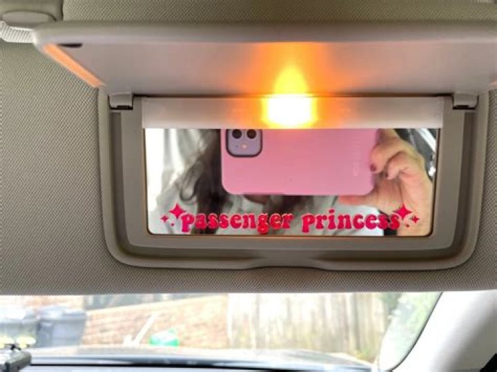 Passenger Princess What is a passenger princess?