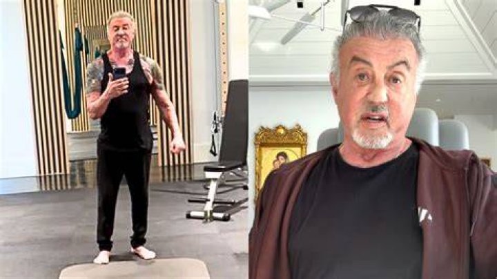 Sylvester Stallone is still pals with turtles from original &lsquo;Rocky&rsquo;