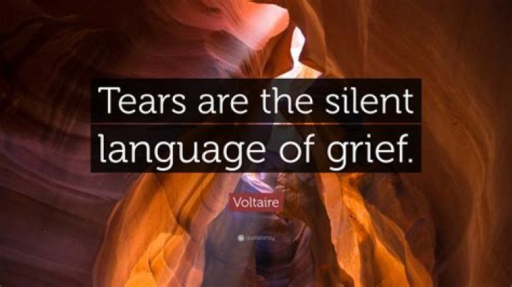 The Silent Language of Grief Words of sympathy, Grief quotes, Words