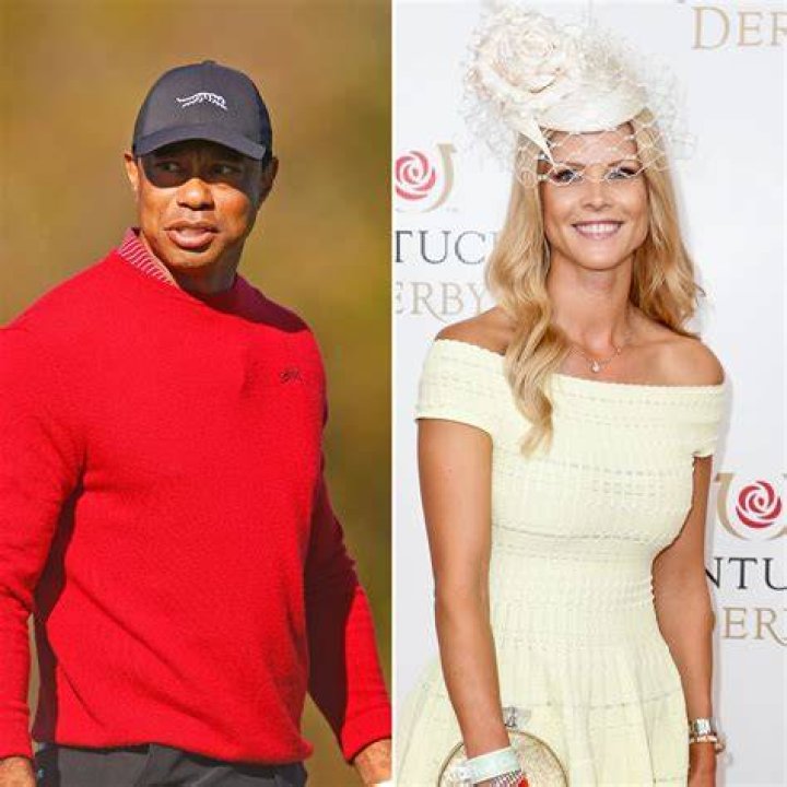 Tiger Woods and exwife Elin Nordegren &lsquo;do a great job coparenting