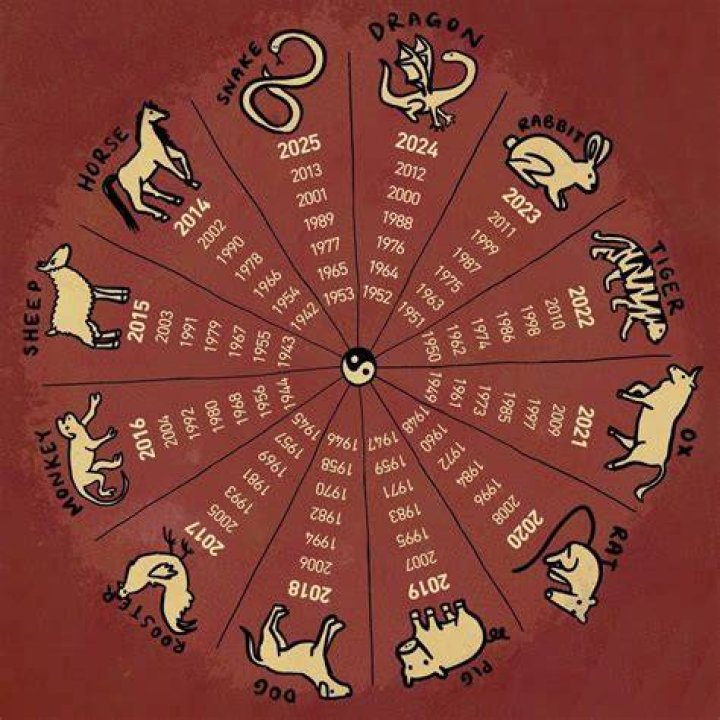 Trump Chinese Astrology Sign What does a Gemini Fire Dog mean?