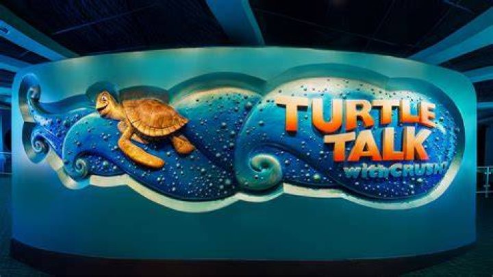 Turtle Talk with Crush Epcot