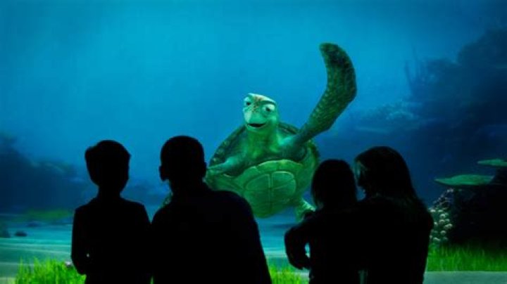 Turtle Talk with Crush How Does It Work? &bull; WDW Vacation Tips