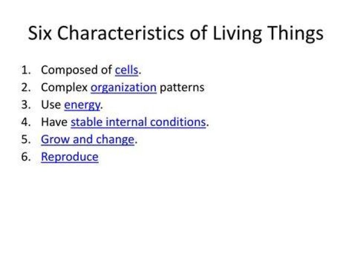 What are the six characteristics of money?