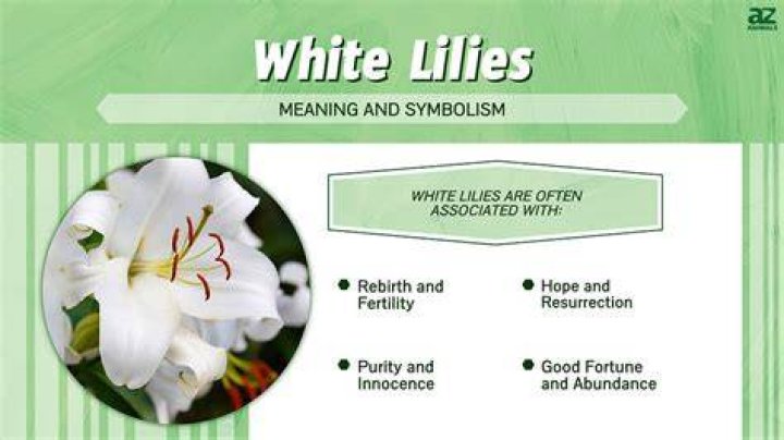 What Do Lillies Represent