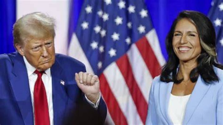 What Happened To Tulsi Gabbard? Tulsi Gabbard Net Worth, Height