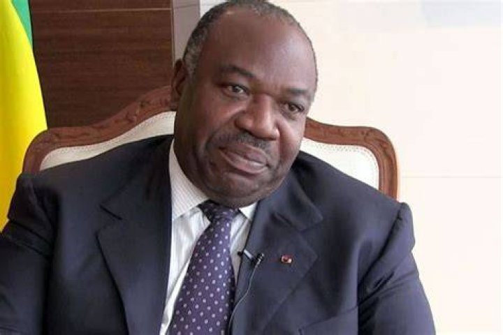 Who Is Ali Bongo?, Age, Election, Coup, Arrest, Family, Net Worth