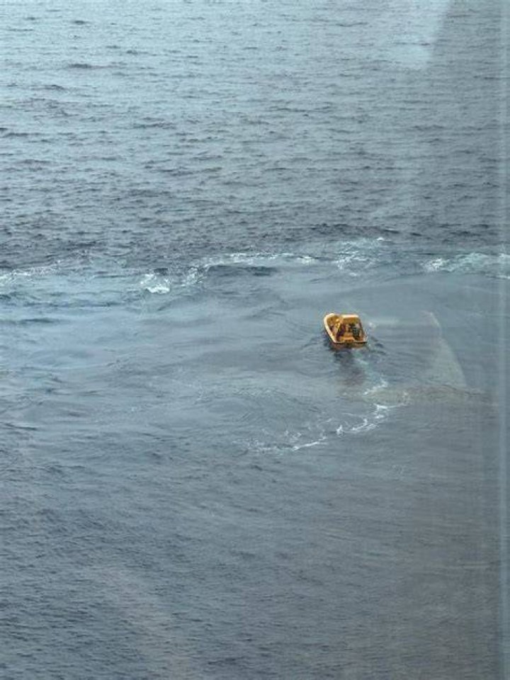 Woman reportedly JUMPED overboard from Carnival cruise ship.... Page